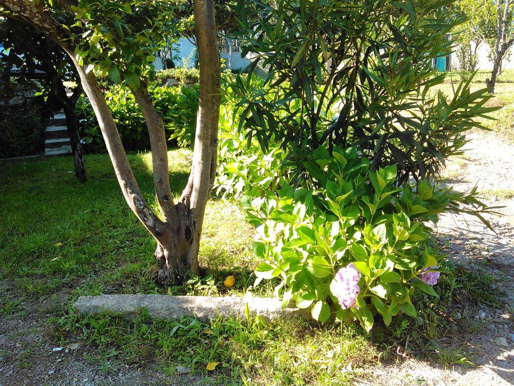 バホセラス Casa Do Fiscalヴィラ 部屋 写真